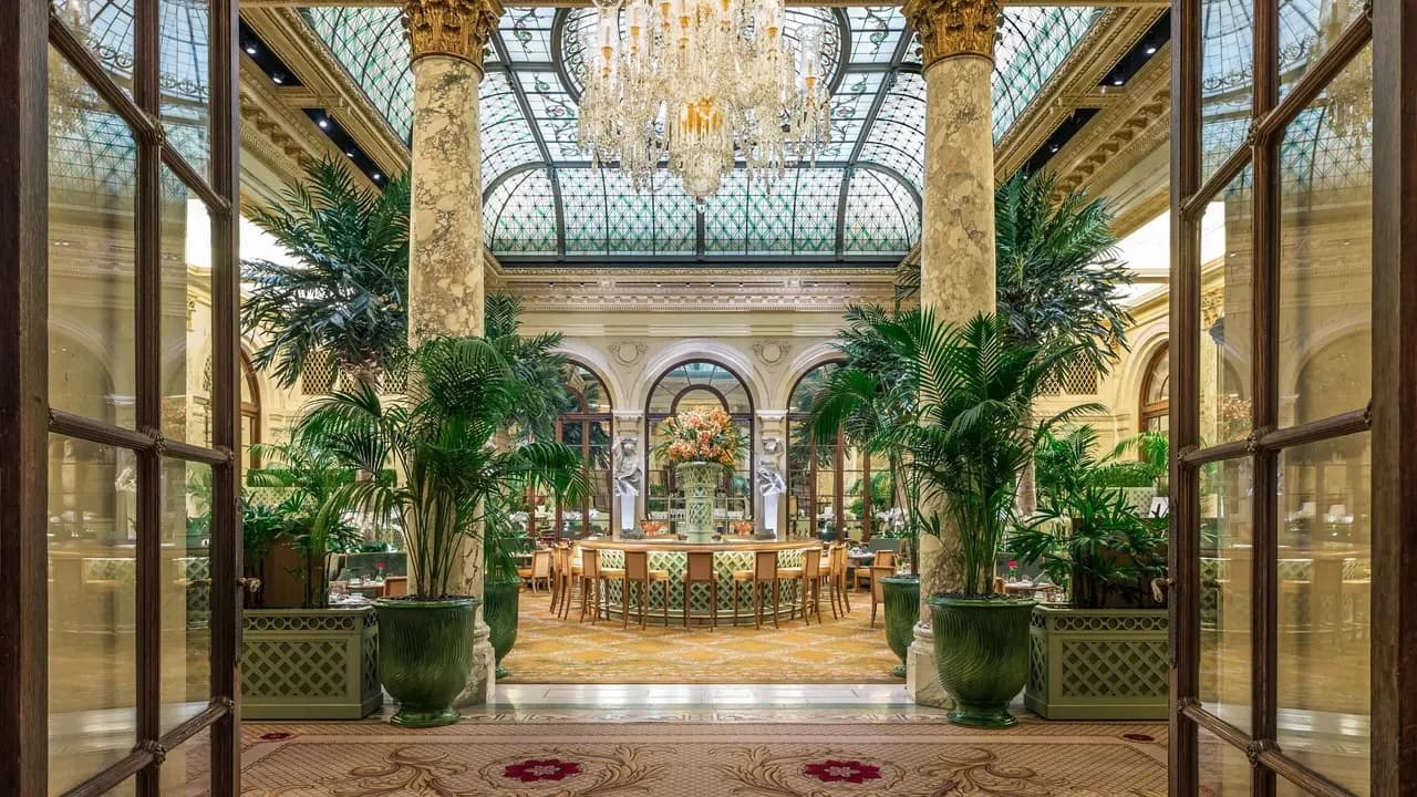 The Palm Court